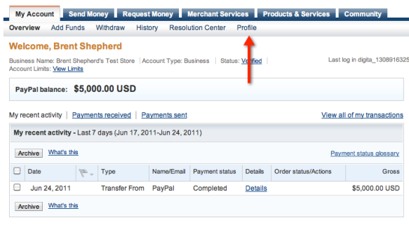 PayPal Account Overview Screenshot